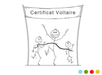 Viser l’excellence en orthographe avec le Certificat Voltaire